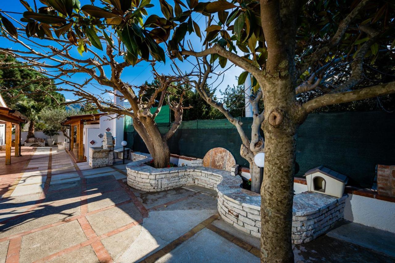 Villa Vignazza Scopello  Extérieur photo